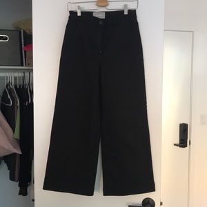 Everlane Wide Leg Crop Pant